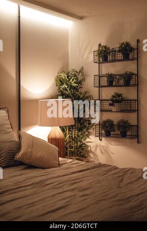 Detail of a bedroom with plants at night Stock Photo