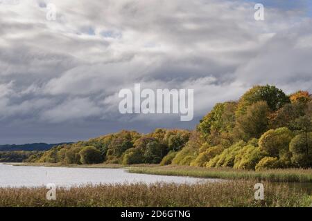 View of Castle Loch the largest of three lochs in Lochmaben Dumfries and Galloway Scotland Stock Photo