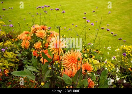 Beautiful summer flowers on Corneliusplatz in downtown Düsseldorf. Stock Photo