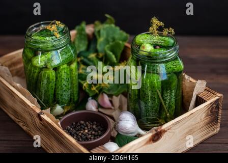Fermentation of cucumbers in glass jars. Raw cucumbers, dill flowers, cherry leaf, horseradish leaf, spices and herbs on a tray, concept of organic an Stock Photo