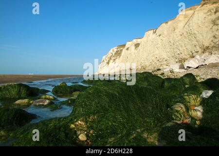 The beaches under the high white  cliffs on the shore of the Channel at Escalles in France Stock Photo