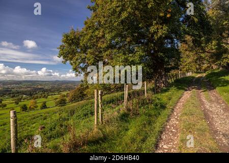 View overlooking the Vale of Clwyd from the Clwydian Range, North Wales Stock Photo