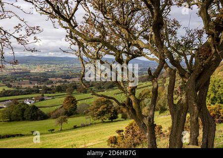 View overlooking the Vale of Clwyd from the Clwydian Range, North Wales Stock Photo