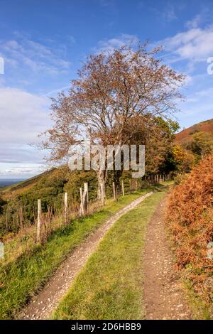 View overlooking the Vale of Clwyd from the Clwydian Range, North Wales Stock Photo