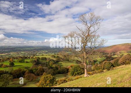 View overlooking the Vale of Clwyd from the Clwydian Range, North Wales Stock Photo