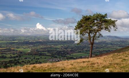 View overlooking the Vale of Clwyd from the Clwydian Range, North Wales Stock Photo