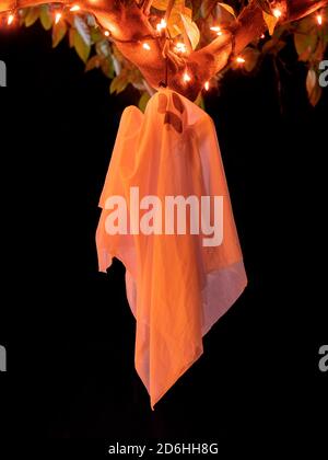 Ghost hanging from a tree at night. Halloween Decorations Stock Photo