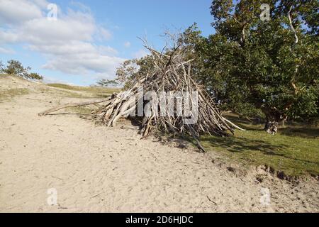 A branch hut in the Dutch dunes near the village of Bergen in the autumn. In front of oaks. Netherlands. October Stock Photo