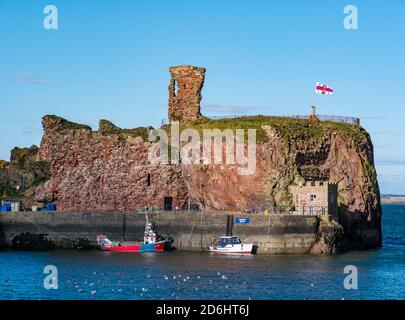 Ruined Dunbar Castle and harbour with fishing boats on a sunny day, East Lothian, Scotland, UK Stock Photo