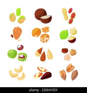 Nuts vector icons. Superfood eating cartoon style illustration. Stock Vector