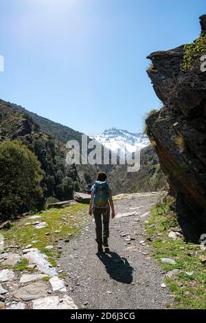 Hiker on a hiking trail, hiking trail Vereda de la Estrella, behind Sierra Nevada with peak La Alcazaba, snow-covered mountains near Granada Stock Photo