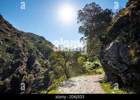 Hiking trail Vereda de la Estrella, Sierra Nevada, mountains near Granada, Andalusia, Spain Stock Photo