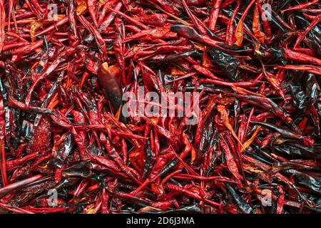 Bird's eye view dry chili pepper background