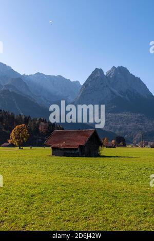 Hay barns, green meadow, Zugspitze in the background, mountain landscape, near Grainau, Garmisch-Partenkirchen, Upper Bavaria, Bavaria, Germany Stock Photo