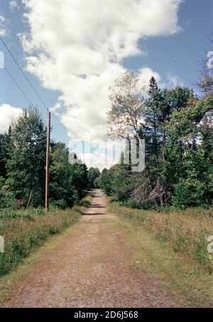 Rural Dirt Road through Wooded Landscape Stock Photo