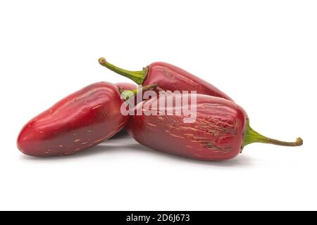 Fresh red Jalapeno hot peppers isolated on white background Stock Photo