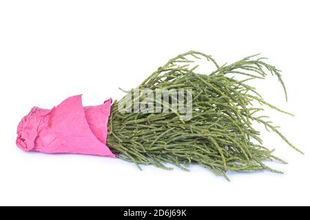 Fresh green bunch of sea beans on isolated white background Stock Photo