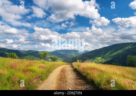 Mountain dirt road at sunny bright day in summer. Landscape Stock Photo