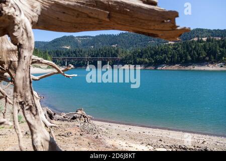Looking across the surface of Lost Creek Lake to a side view of Peyton Bridge and Highway 62 framed by exposed tree roots and a background of thick tr Stock Photo