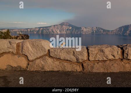 https://l450v.alamy.com/450v/2d6j98y/a-cute-little-chipmunk-sits-on-a-masonry-rock-wall-and-eats-pieces-of-broken-nuts-in-the-afternoon-light-with-the-magnificent-crater-lake-and-a-heavy-2d6j98y.jpg