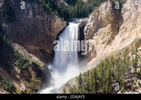 Lower Falls of the Yellowstone River and Grand Canyon, Yellowstone National Park, Wyoming, USA Stock Photo