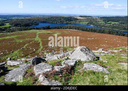 View from the top of Sheepstor, Dartmoor National Park, with open moorland and Burrator Reservoir on a sunny day. Stock Photo