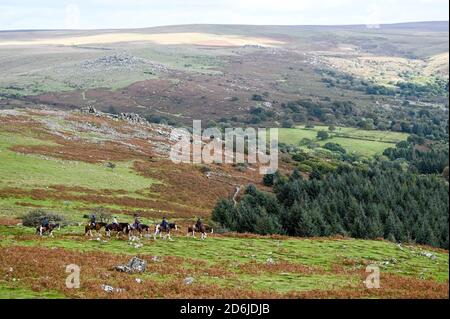 View from the top of Leather Tor, Dartmoor National Park, with moorland, woodland and horse riders hacking in natural countryside Stock Photo