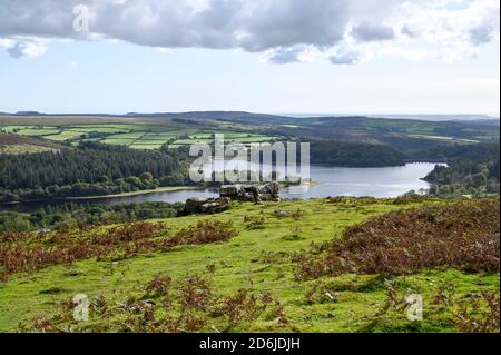 View from the top of Leather Tor, Dartmoor National Park, with open moorland and Burrator Reservoir on a sunny day. Stock Photo