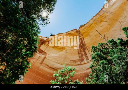 A stunning view looking up at a canyon wall with a sunburst in the trees Stock Photo