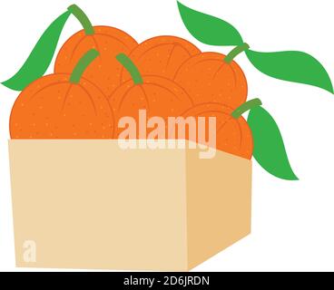 Orange illustration Design Template Box Stock Vector