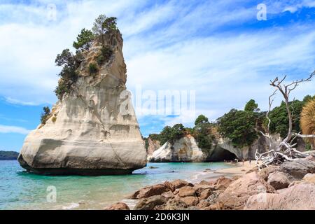 Cathedral Cove on the Coromandel Peninsula, New Zealand. Te Hoho Rock juts from the ocean in front of the famous rock arch Stock Photo