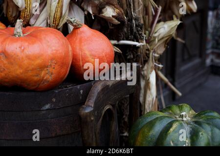 Large orange and green pumpkins lie on an old wooden chair. The Halloween day. Decoration and decor. Dark natural background.  Close-up Stock Photo