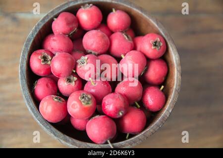 Top view of red Scarlet Hawthorn fruits (Crataegus coccinea), piled up in wooden bowl Stock Photo