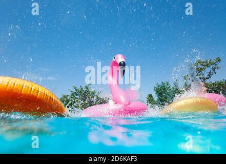 Funny action photo in the outdoor swimming pool with splashes of inflatable flamingo and doughnuts buoys rings Stock Photo