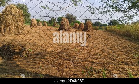 Iron net around the field with attractive crossed design and art. Stock Photo