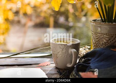 Hot cup of tea on the background of an autumn day. White cup with tea and lemon on a wooden windowsill with autumn leaves. Cozy concept. Copy space Stock Photo