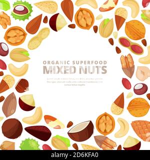 Mixed nuts vector white frame background. Cartoon flat illustration. Design elements for packaging or label. Stock Vector