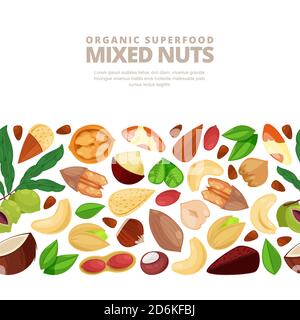 Mixed nuts vector seamless white pattern. Cartoon flat illustration. Textile print background design elements. Stock Vector