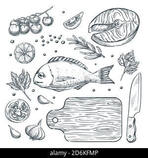 Cooking fish dorado and salmon steak, vector sketch illustration. Set of isolated hand drawn food ingredient, vegetables, spices. Seafood restaurant m Stock Vector