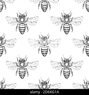 Bee seamless vector pattern. Sketch hand drawn illustration of honeybee. Fashion textile print or honey packaging background design. Stock Vector
