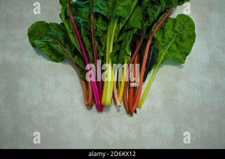 A group of colorful beets and chards on the table (Pesaro, Italy, Europe) Stock Photo