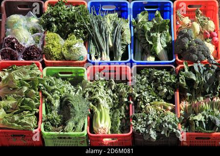 An assortment of fresh vegetables and salads which have health benefits on display outside a greengrocers shop Stock Photo