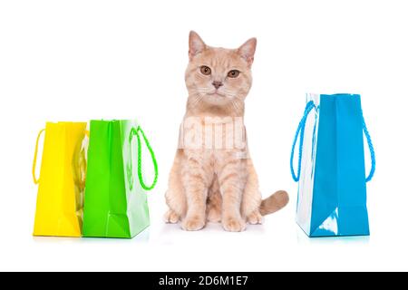 Cat bags for sale hot sale