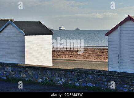 Cruise ship Zaandam anchored in Tor Bay during the coronavirus pandemic, seen between beach huts on Goodrington seafront. Stock Photo