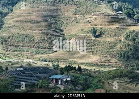 Rice Fields, rice terrace Paddy in Sa Pa Lao Cai Vietnam Asia Stock Photo