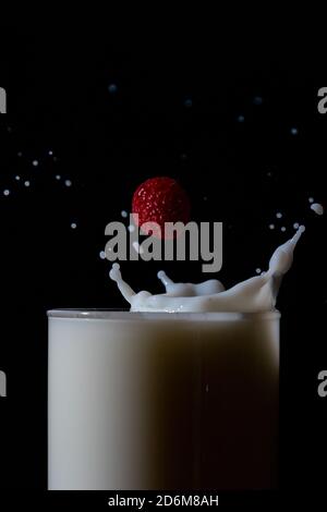 High speed image of raspberry splashing in a glass of milk with drops flying around Stock Photo