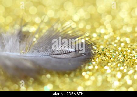 wings bird Soft pastel detail of design background wallpaper Abstract Stock Photo