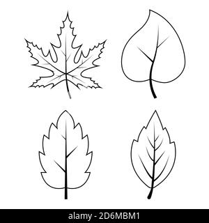 Leaves outline autumn symbols collection. Contour  of autumnal falling leaf. Sketch shape set isolated on white. Illustration of seasonal icons. Eps 1 Stock Vector