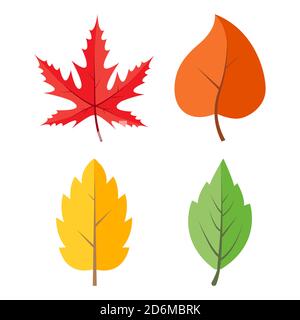 Autumnal leaves icon set isolated on white. Autumn vector foliage illustration. Seasonal clipart in vivid colors. Colourful falling leaf collection. Y Stock Vector