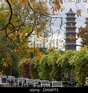 View of the Pagoda at Kew Botanical Gardens through the vines in Autumn Stock Photo